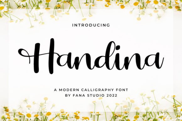 Handina Typeface Adds Luxury to Web Design Projects