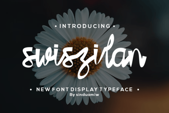 Swiszilan Font for Bold Branding and Creative Designs