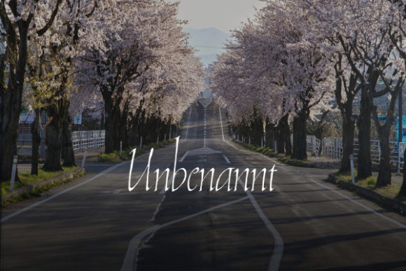 Unbenannt Handwritten Font for Creative Designers